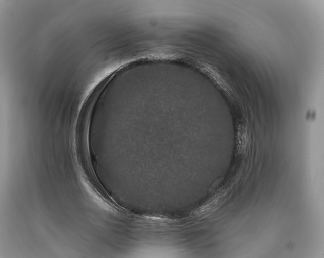X0000090470726200707201354