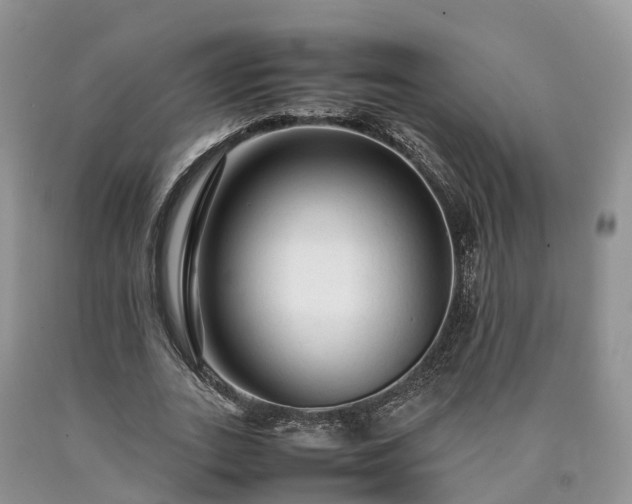 X0000090470727200707201354
