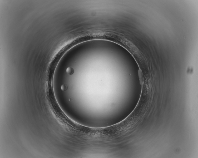 X0000090470728200707201354