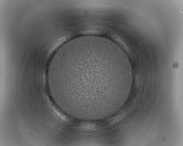 X0000090470729200707201354