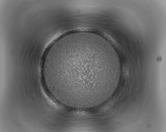 X0000090470730200707201354