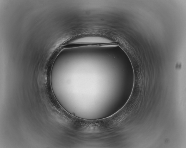 X0000090470731200707201354