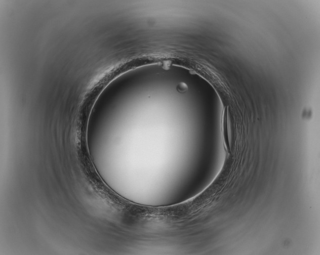 X0000090470732200707201354