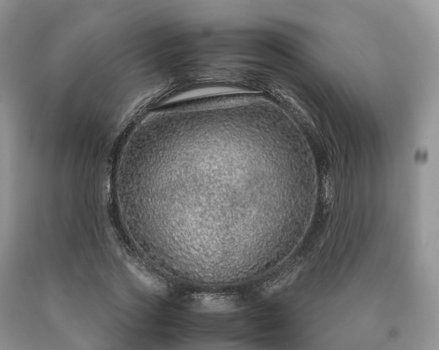 X0000090470733200707201354