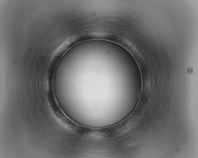 X0000090470734200707201354