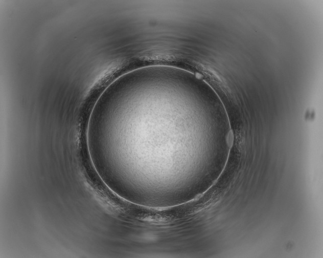 X0000090470735200707201354