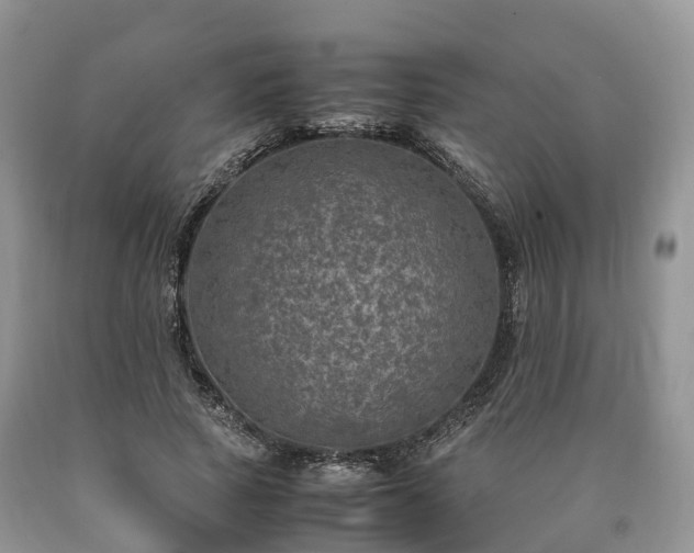 X0000090470737200707201354