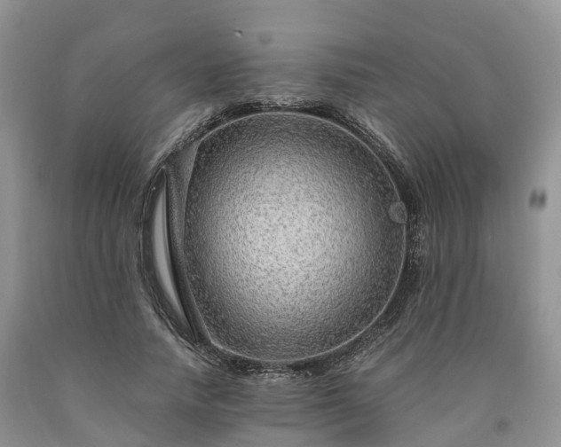 X0000090470738200707201354