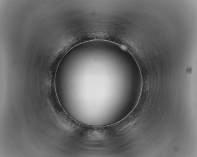 X0000090470739200707201354