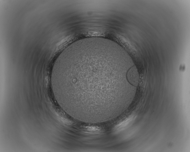 X0000090470741200707201354