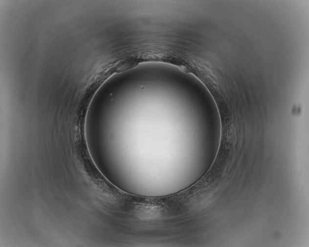 X0000090470743200707201354
