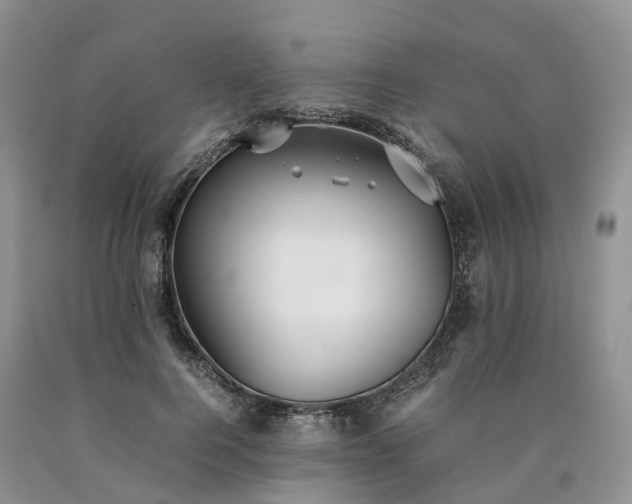X0000090470744200707201354