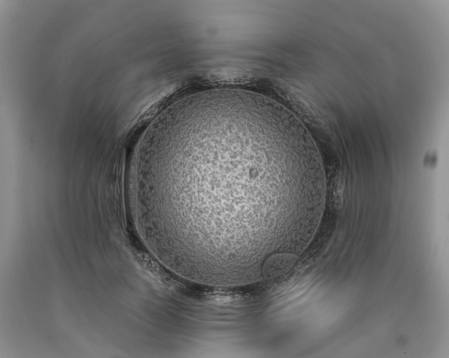 X0000090470746200707201354