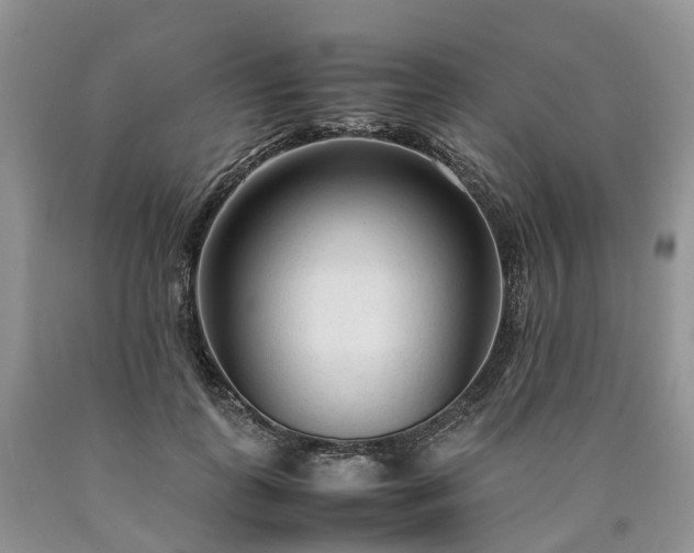 X0000090470747200707201354