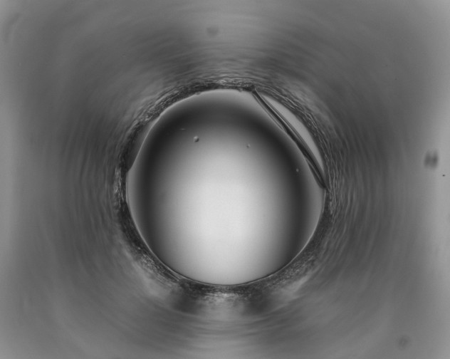 X0000090470748200707201354
