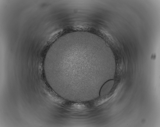 X0000090470749200707201354