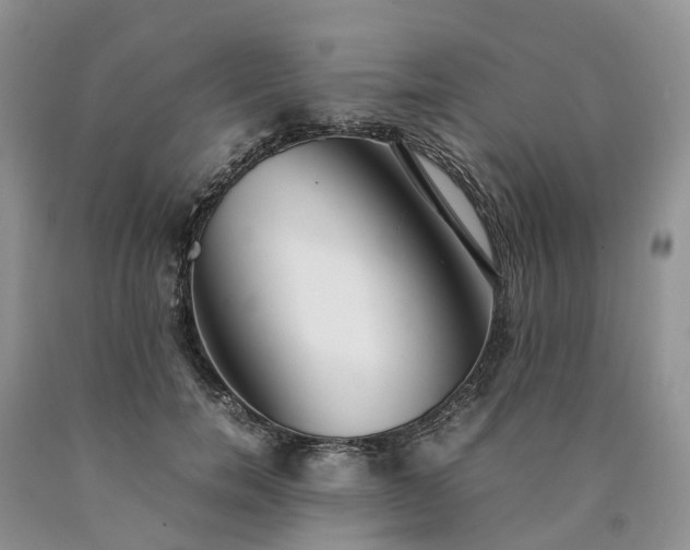 X0000090470750200707201354