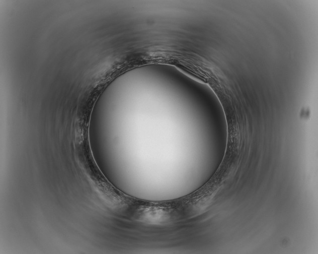 X0000090470751200707201354