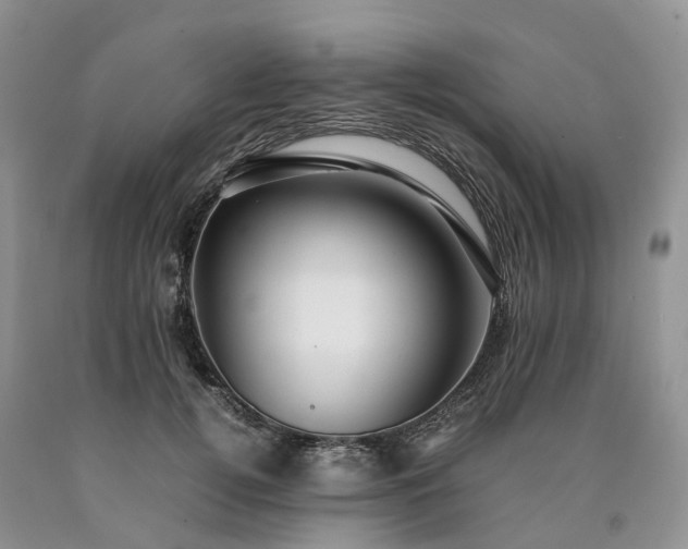 X0000090470752200707201354