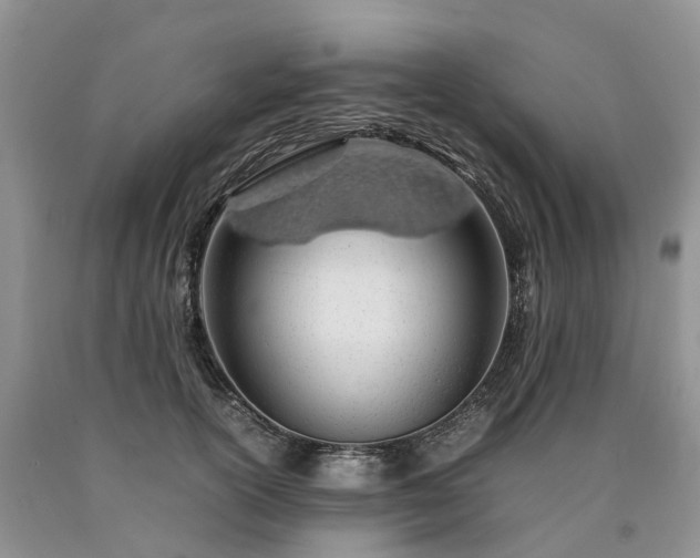 X0000090470754200707201354