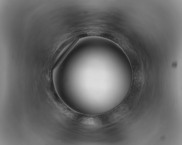 X0000090470755200707201354