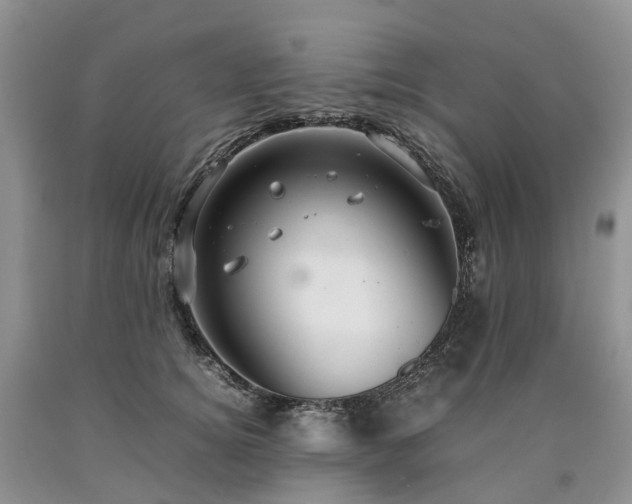 X0000090470756200707201354