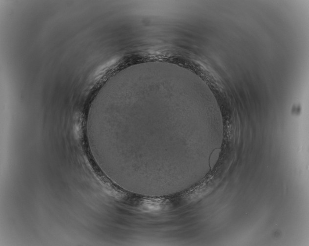 X0000090470757200707201354