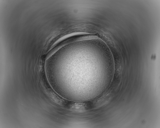 X0000090470758200707201354