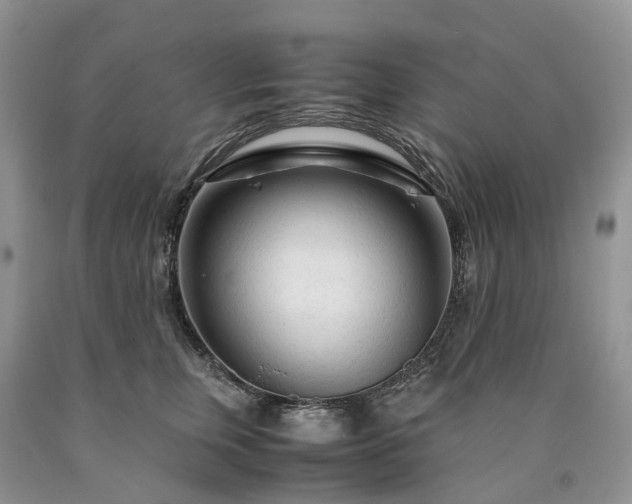 X0000090470759200707201354
