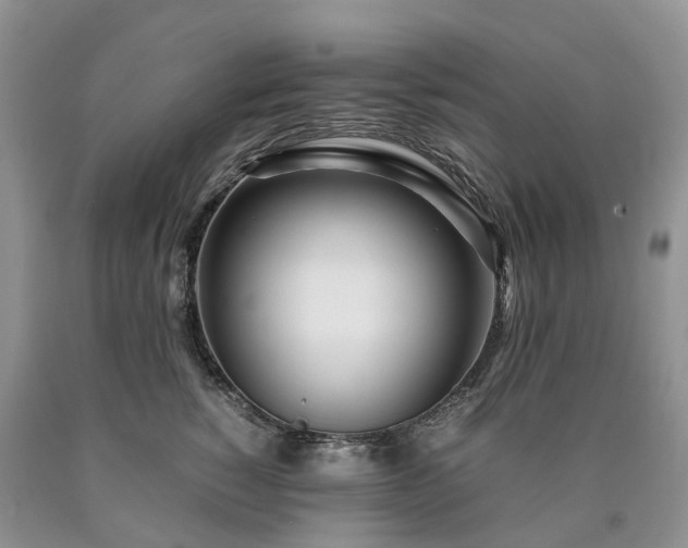 X0000090470760200707201354
