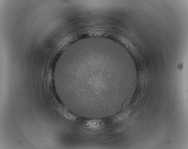 X0000090470761200707201354