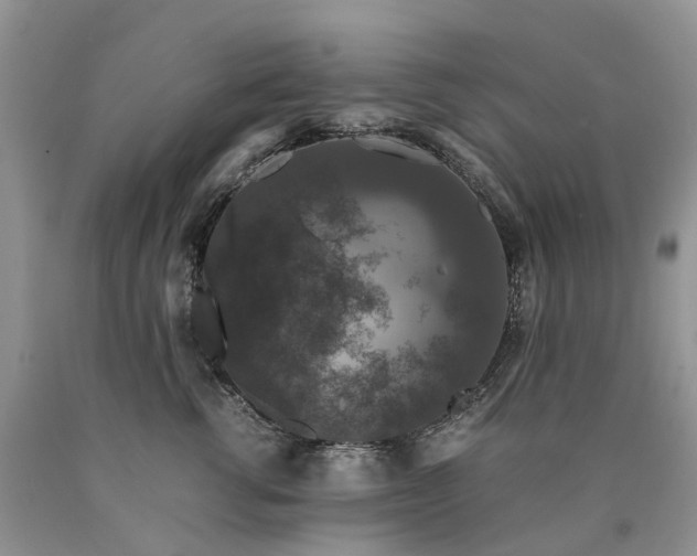 X0000090470762200707201354