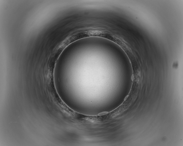 X0000090470763200707201354