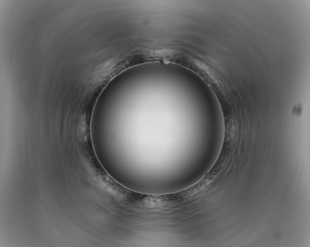 X0000090470764200707201354