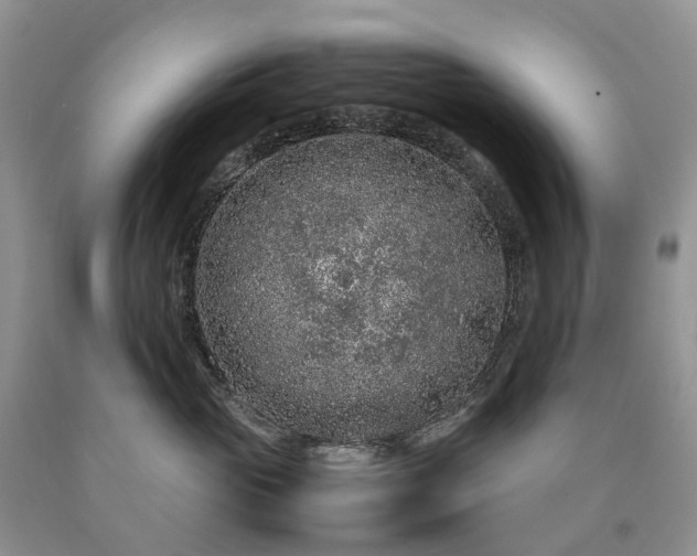 X0000090470765200707201354