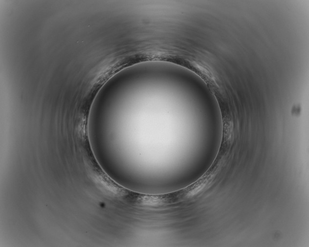 X0000090470766200707201354