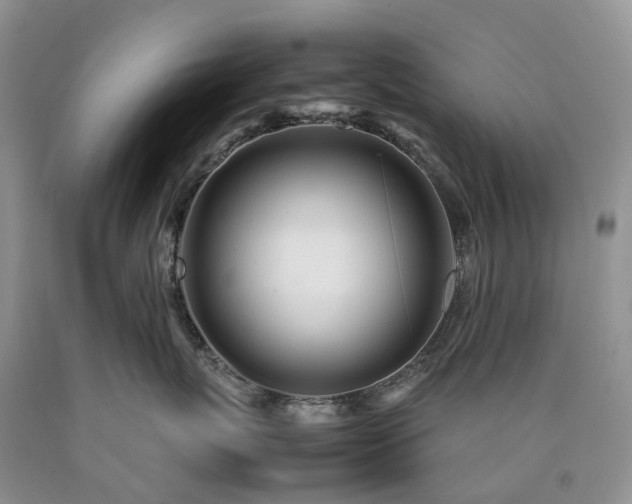 X0000090470767200707201354