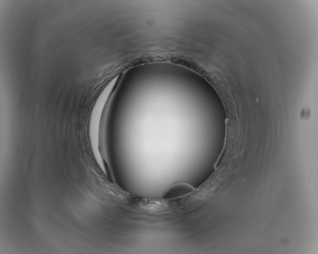 X0000090470768200707201354