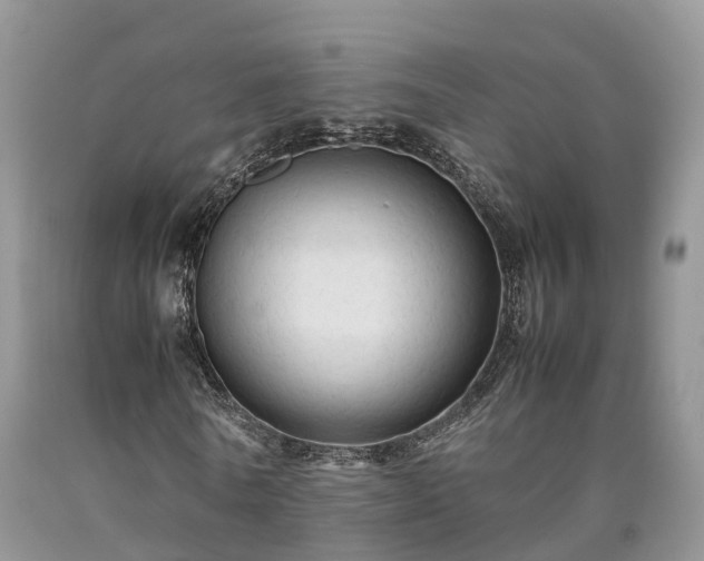 X0000090470770200707201353