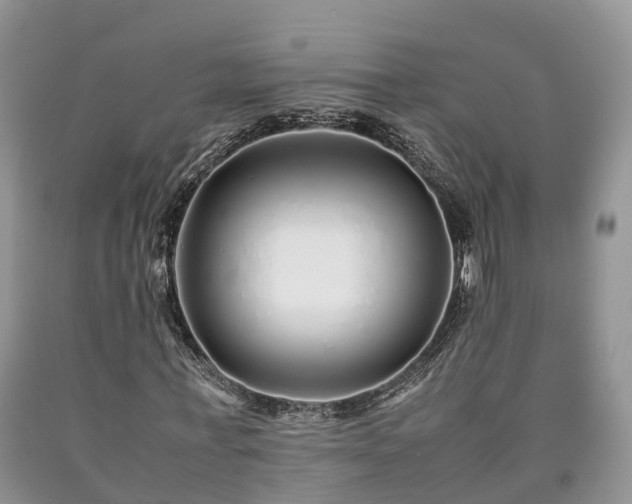 X0000090470771200707201353