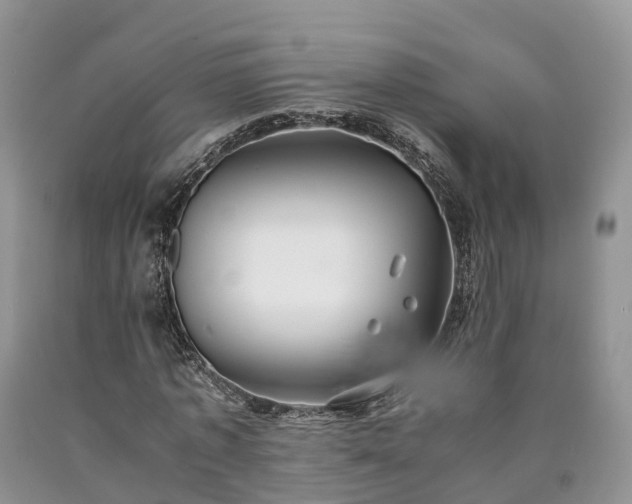 X0000090470773200707201353