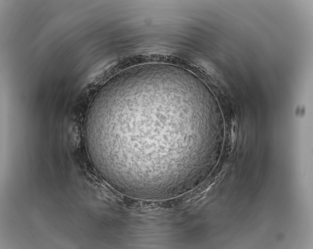 X0000090470774200707201353