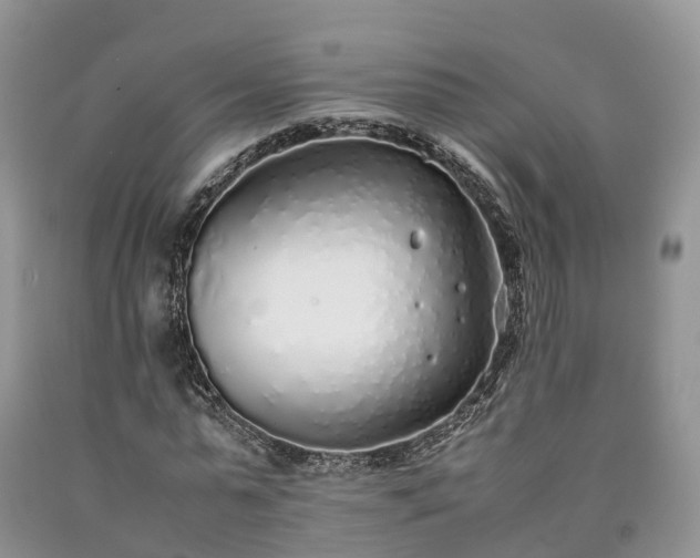 X0000090470775200707201353