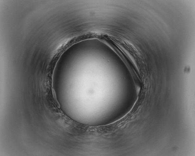 X0000090470776200707201353