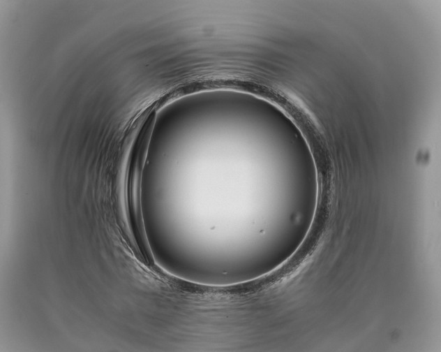 X0000090470777200707201353