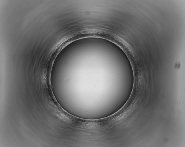 X0000090470778200707201353