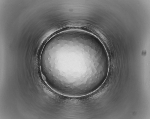 X0000090470779200707201353