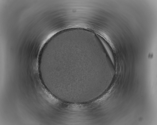 X0000090470780200707201353