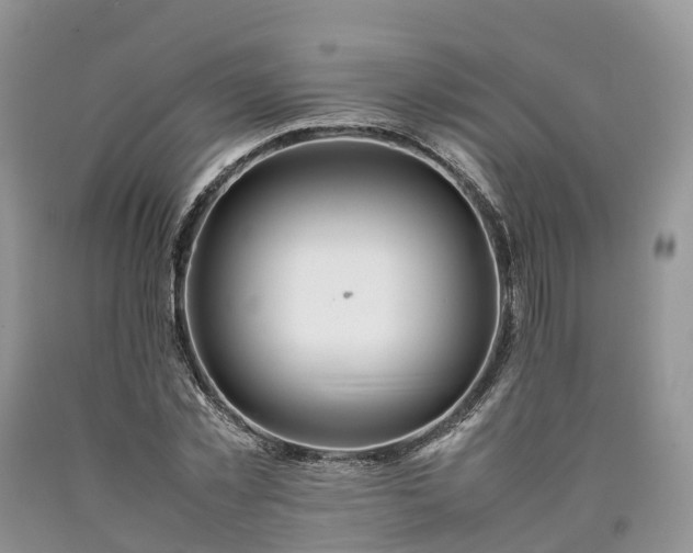 X0000090470781200707201353