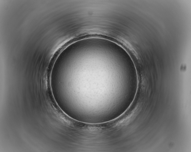 X0000090470782200707201353